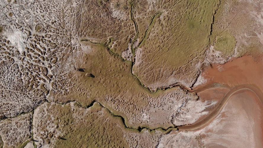 Laguna Carachi